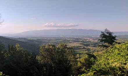 Alla scoperta dei sapori del Valdarno: un itinerario enogastronomico tra eccellenze locali